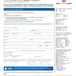 Michelin Rebate Form PDF